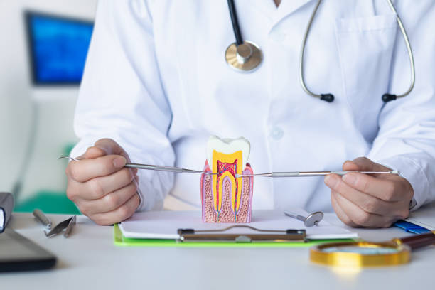 Best Pediatric Emergency Dentist in Jacksonville, TX